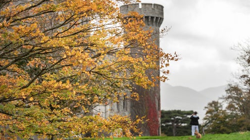 Golden leaves are at the front of the picture, and one of Penrhyn Castles turrets, covered in red Virginia Creeper can be seen in the background.